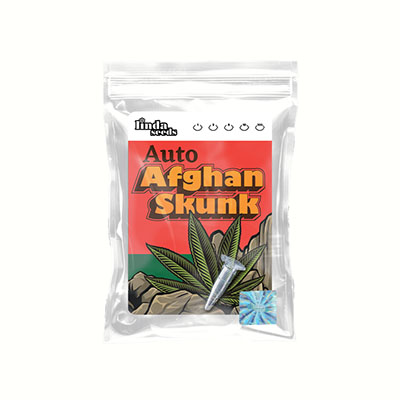 Auto Afghan Skunk Samen > Linda Seeds | Hanfsamen Empfehlungen  |  Günstige Hanfsamen